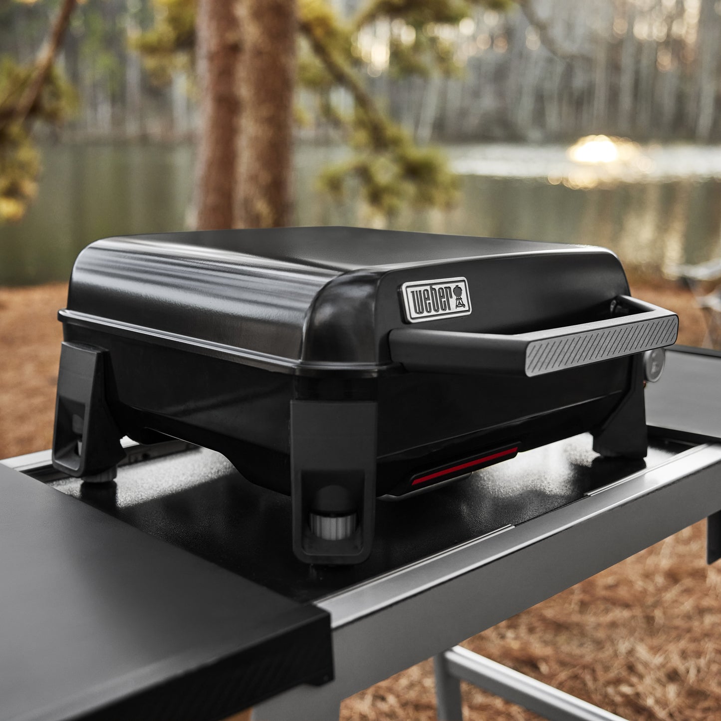 Weber Traveler 17" Portable Griddle