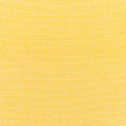 Dining Chair Seat Cushion - Sunbrella